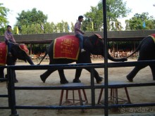 тайланд 2011 Патайя