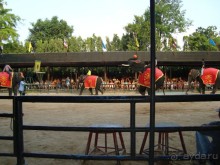 тайланд 2011 Патайя