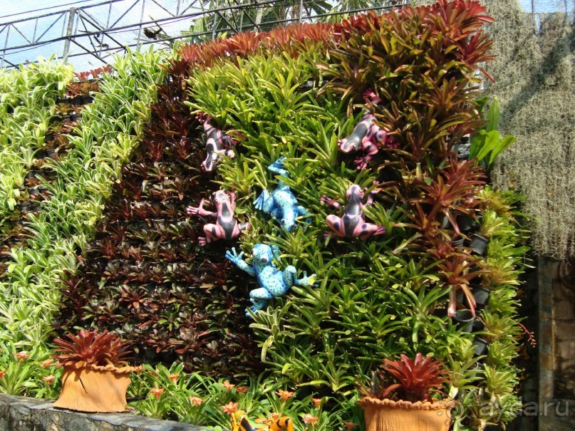 тайланд 2011 Патайя