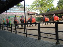 тайланд 2011 Патайя