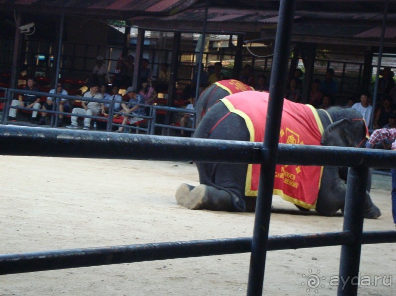 тайланд 2011 Патайя