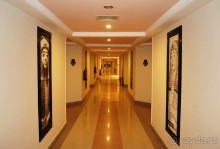 фото AMC Royal Hotel & Spa 