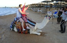 Поездка в Египет (Хургада)