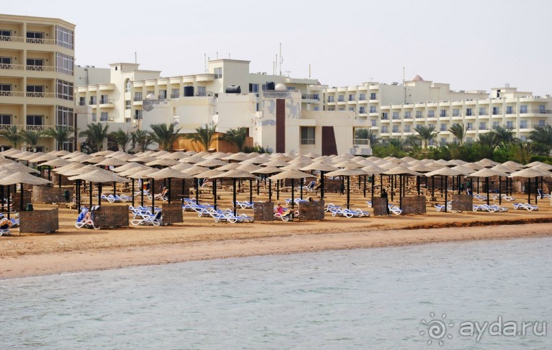 фото AMC Royal Hotel & Spa 