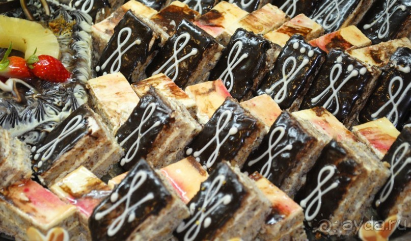 Поездка в Египет (Хургада)