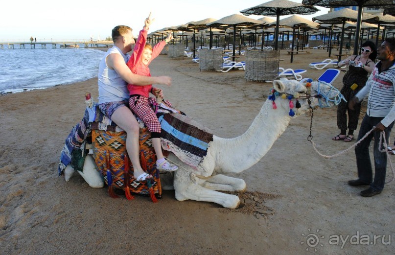 Поездка в Египет (Хургада)