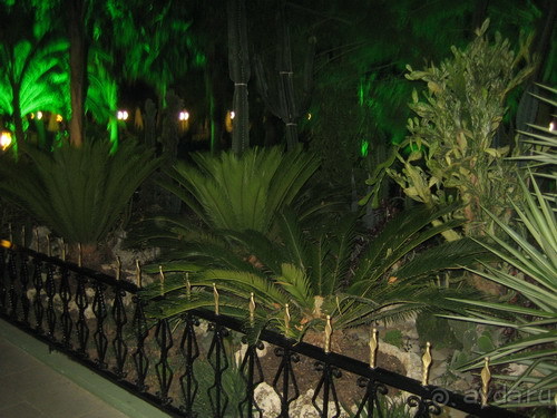 фото Botanik Hotel & Resort