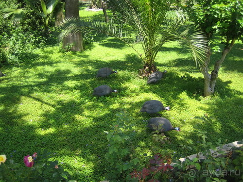 фото Botanik Hotel & Resort