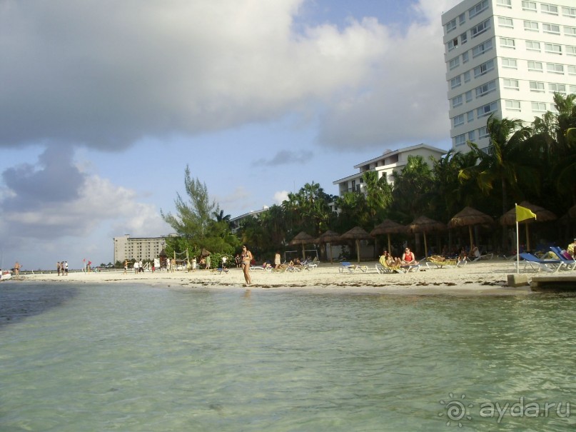 фото Oasis Palm Beach