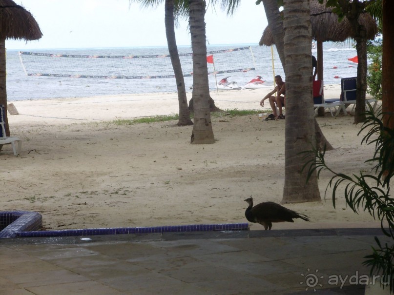 Отель хороший.. Пляж плохой.