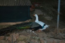 отличный отель !!!  свои деньги оправдал