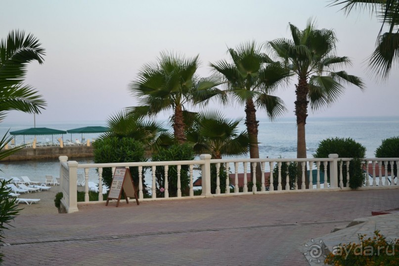 отличный отель !!!  свои деньги оправдал