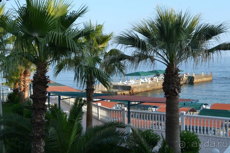 отличный отель !!!  свои деньги оправдал