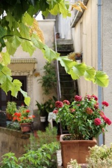 МАРИО. Mission complete