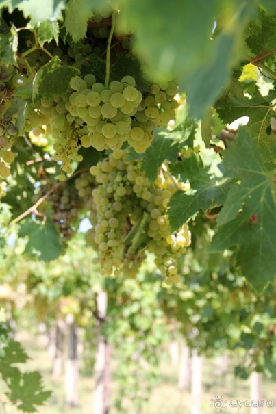 МАРИО. Mission complete