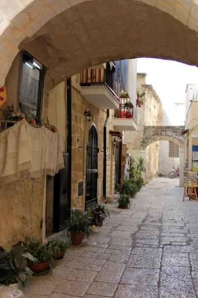 МАРИО. Mission complete