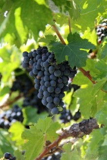 МАРИО. Mission complete