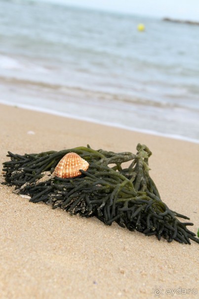 МАРИО. Mission complete