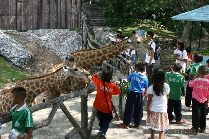 фото Royal Cliff Grand Hotel