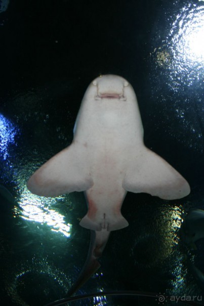 фото Royal Cliff Grand Hotel