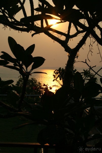 фото Royal Cliff Grand Hotel