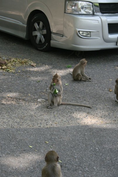 фото Royal Cliff Grand Hotel