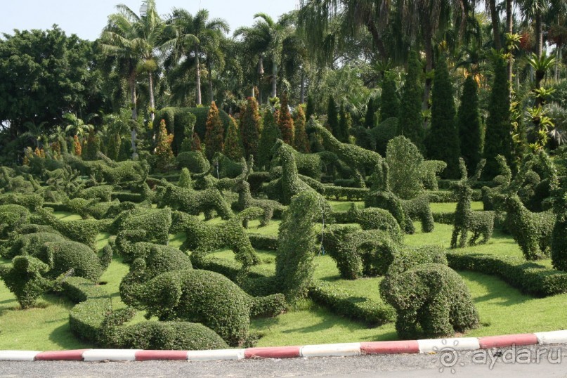 фото Royal Cliff Grand Hotel