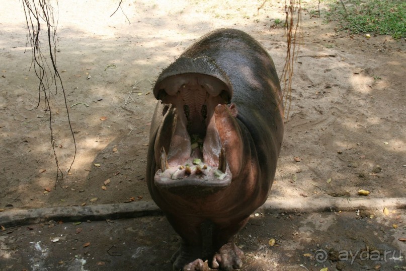 фото Royal Cliff Grand Hotel