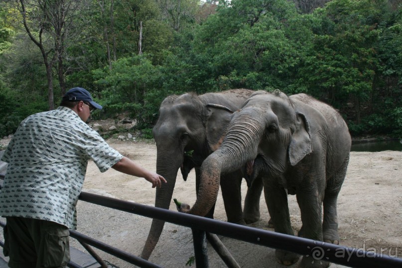 фото Royal Cliff Grand Hotel