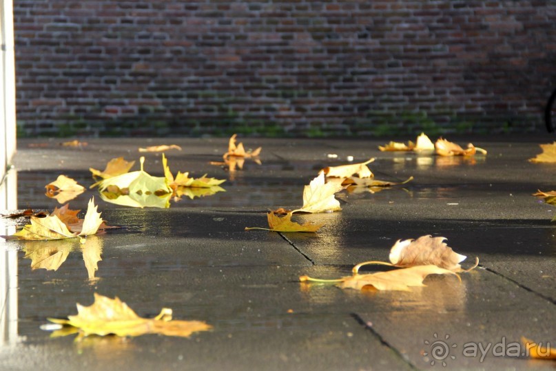 ноябрьский Амстердам