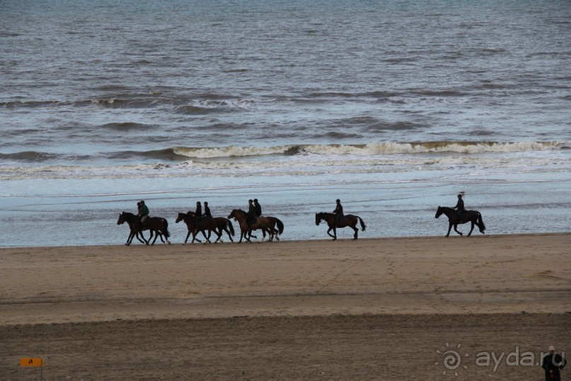 ноябрьский Амстердам
