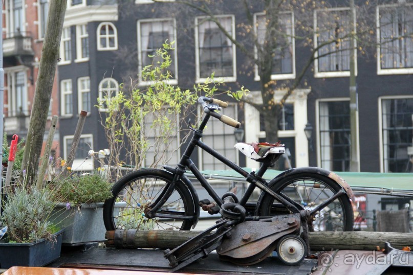 ноябрьский Амстердам