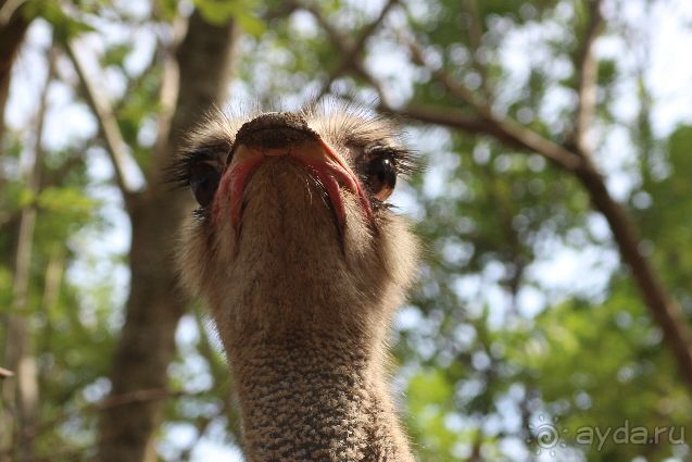 Вьетнам, Вунг Тау: глазами туриста.