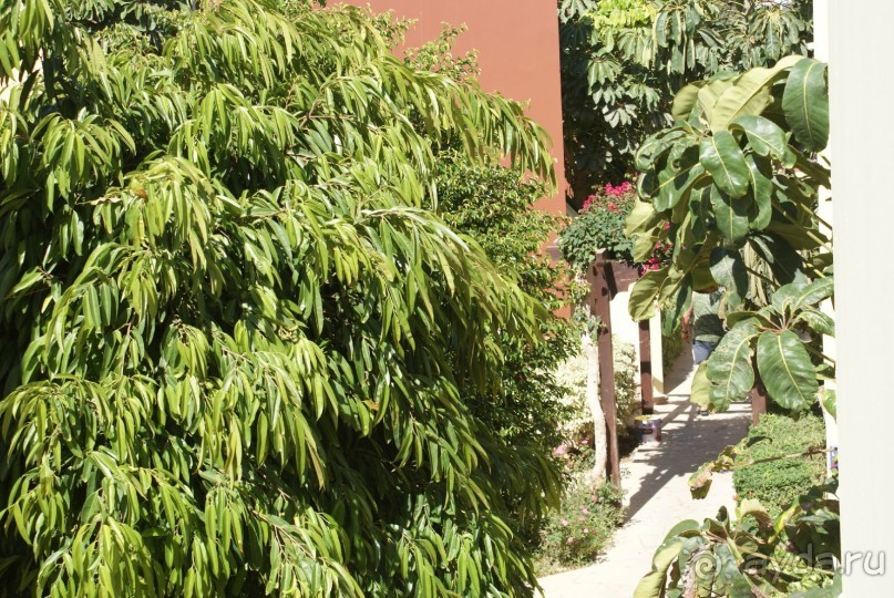 неплохой отель со своим аквапарком и прекрасной едой