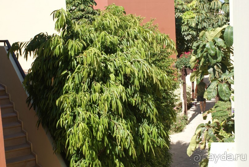 неплохой отель со своим аквапарком и прекрасной едой