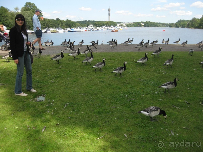 первое путешествие на машинах