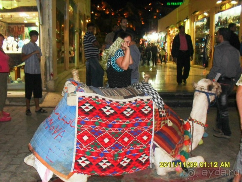 фото Aurora Oriental Resort Sharm El Sheikh