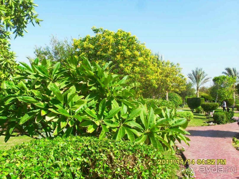 Отличный отель