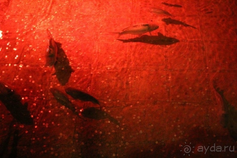 Красиво, интересно