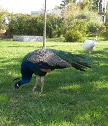 Побег от московской зимы в Валенсию
