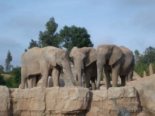Побег от московской зимы в Валенсию