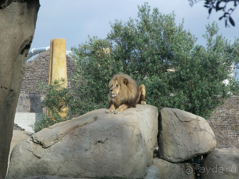 Побег от московской зимы в Валенсию