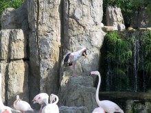 Побег от московской зимы в Валенсию