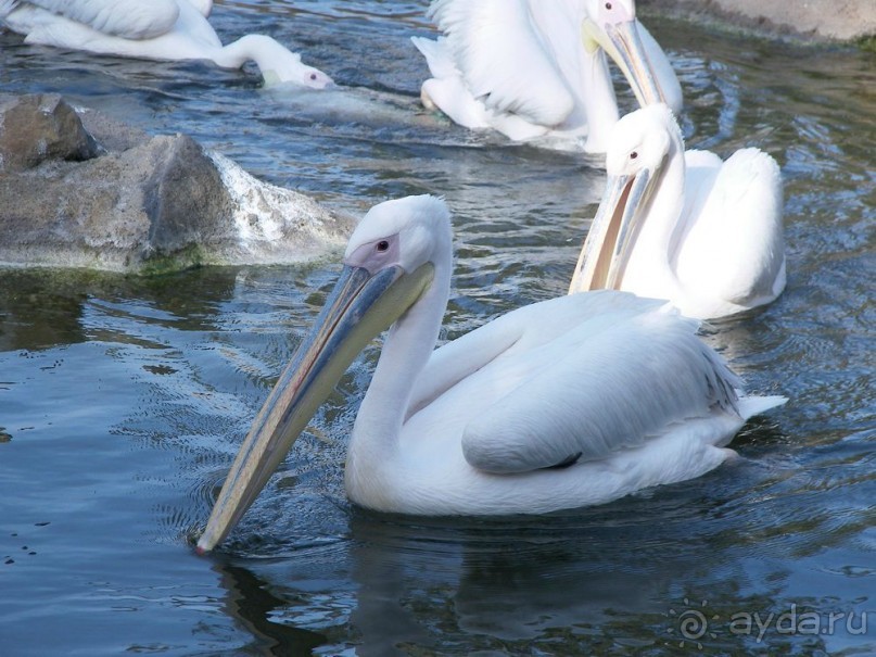Побег от московской зимы в Валенсию