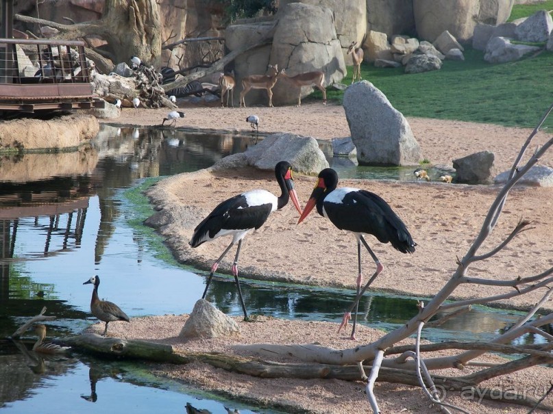 Побег от московской зимы в Валенсию
