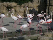 Побег от московской зимы в Валенсию