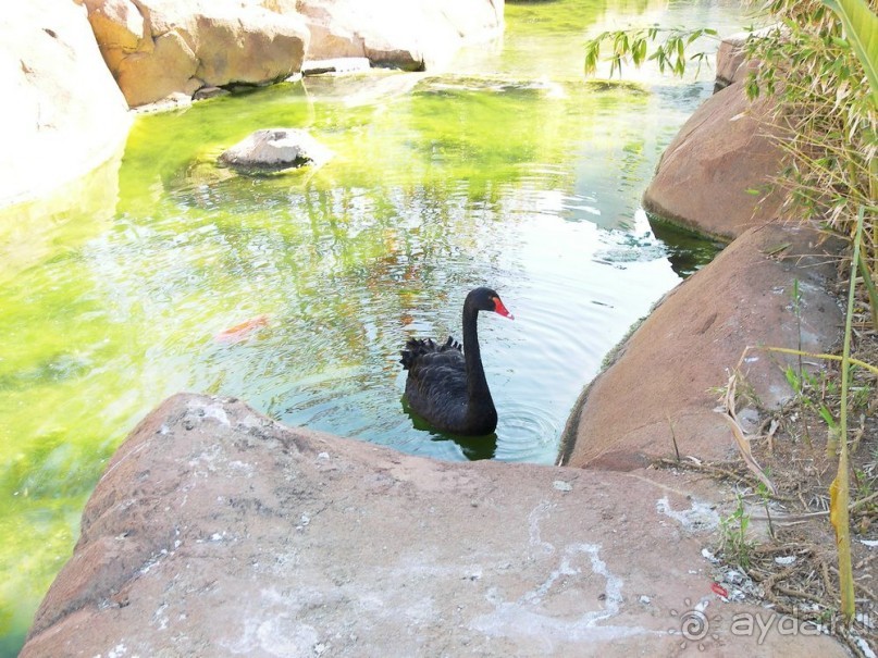 Побег от московской зимы в Валенсию