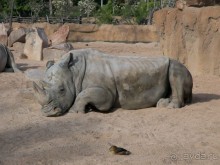 Побег от московской зимы в Валенсию