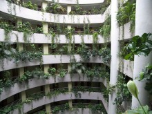 Альбом отзыва "Побег от московской зимы в Валенсию"