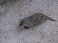 Побег от московской зимы в Валенсию